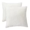 Arlee Home Fashions Inc.™ 2 Pack of Plush Pillows -R & M Richards Shop Belk 465