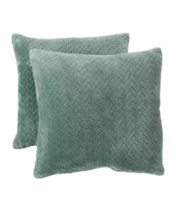 Arlee Home Fashions Inc.™ 2 Pack of Plush Pillows -R & M Richards Shop Belk 468