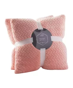 Arlee Home Fashions Inc.™ 2 Pack of Plush Pillows -R & M Richards Shop Belk 469
