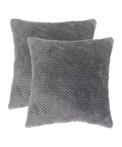 Arlee Home Fashions Inc.™ 2 Pack of Pillows -R & M Richards Shop Belk 568