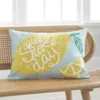 Arlee Home Fashions Inc.™ Squeeze the Day Decorative Pillow -R & M Richards Shop Belk 629